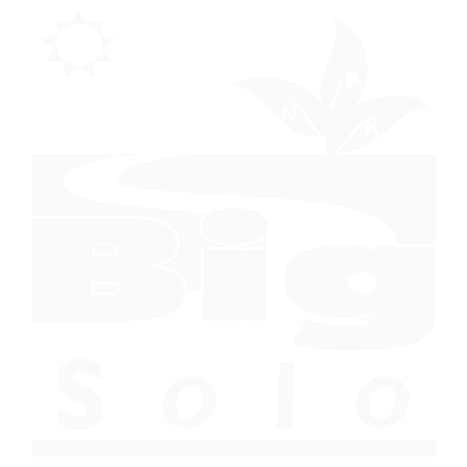 Big Solo